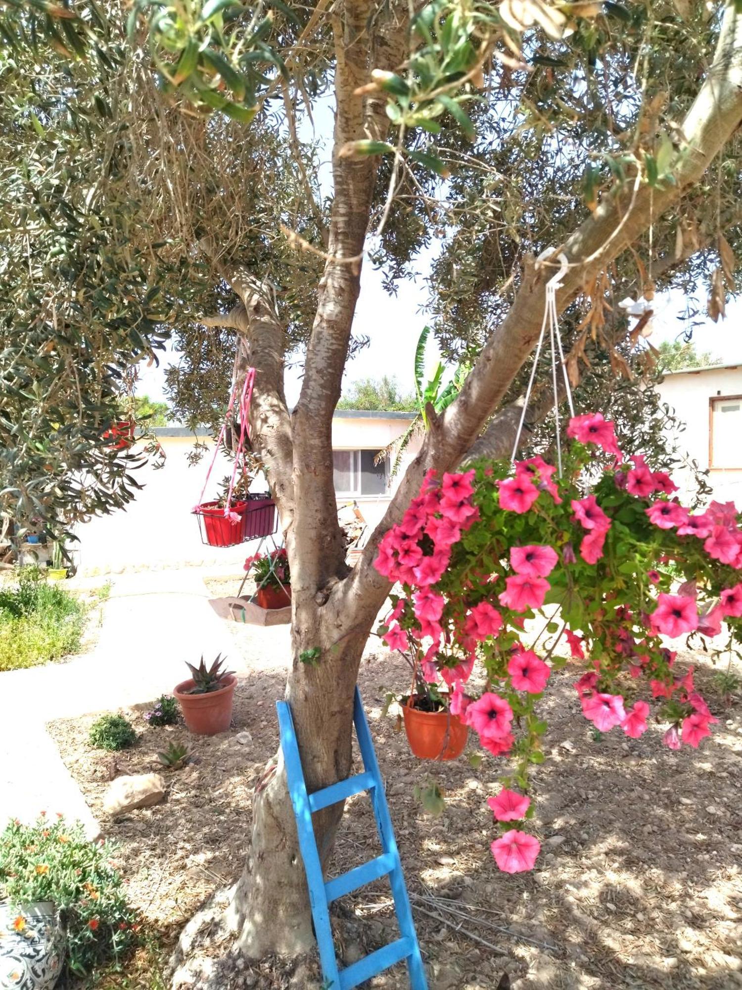 Cala Creta Apartment Lampedusa Room photo