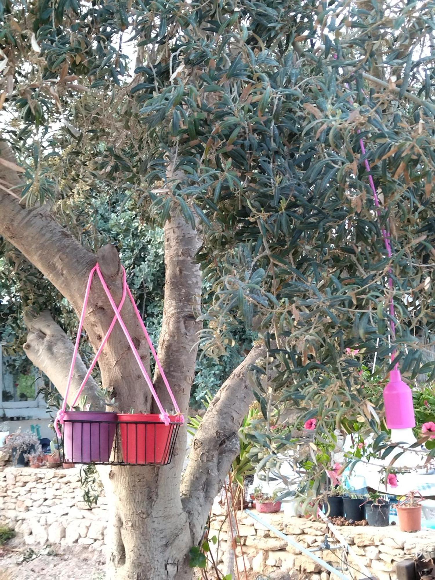 Cala Creta Apartment Lampedusa Room photo
